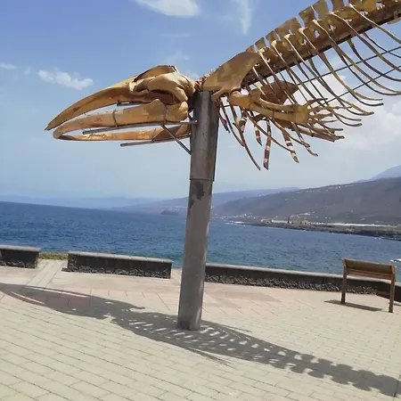 Casa Ecologica, Autosuficiente En Lomo Blanco, Dentro De Casa Rodeada De Naturaleza Pansiyon *